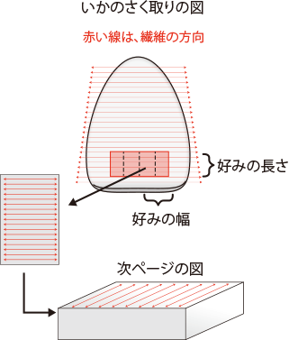 いかのさく取りの図
